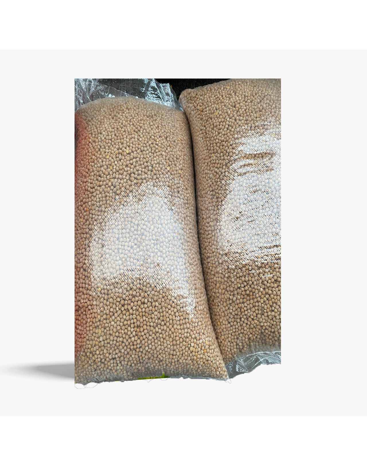 Chickpea